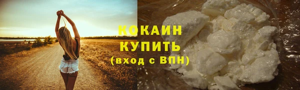 mdpv Богданович