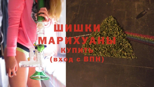 ПСИЛОЦИБИНОВЫЕ ГРИБЫ Бородино